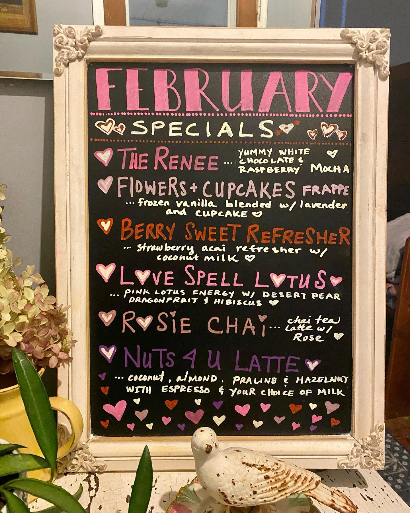 February 2023 Specials