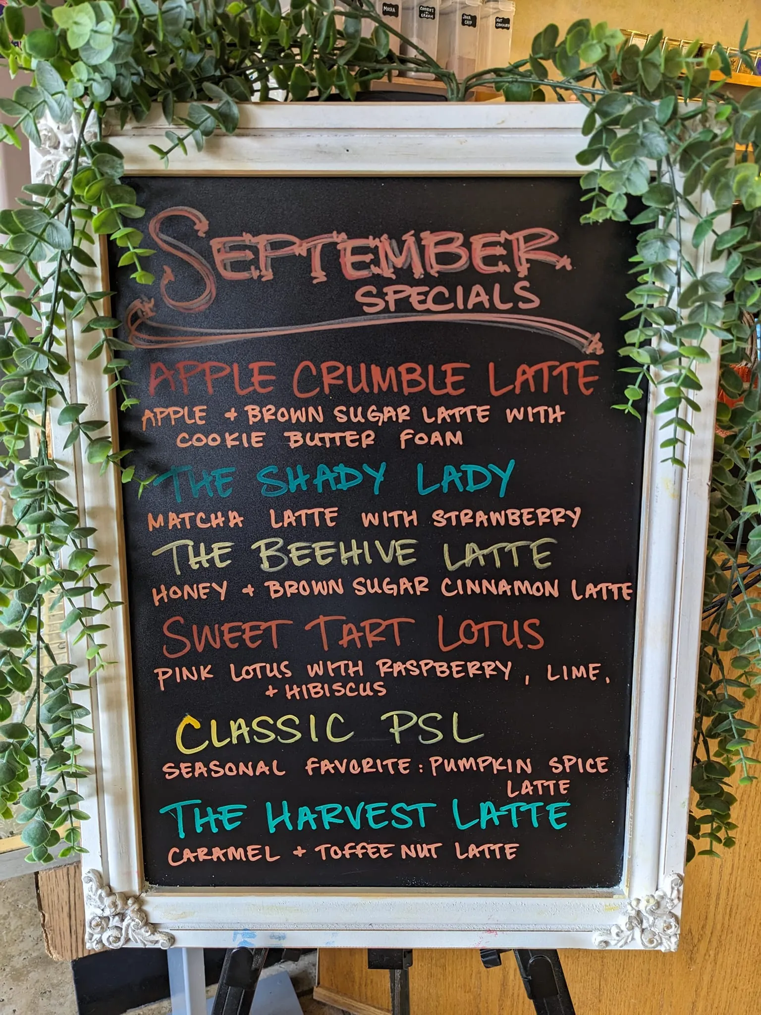 September 2023 Specials