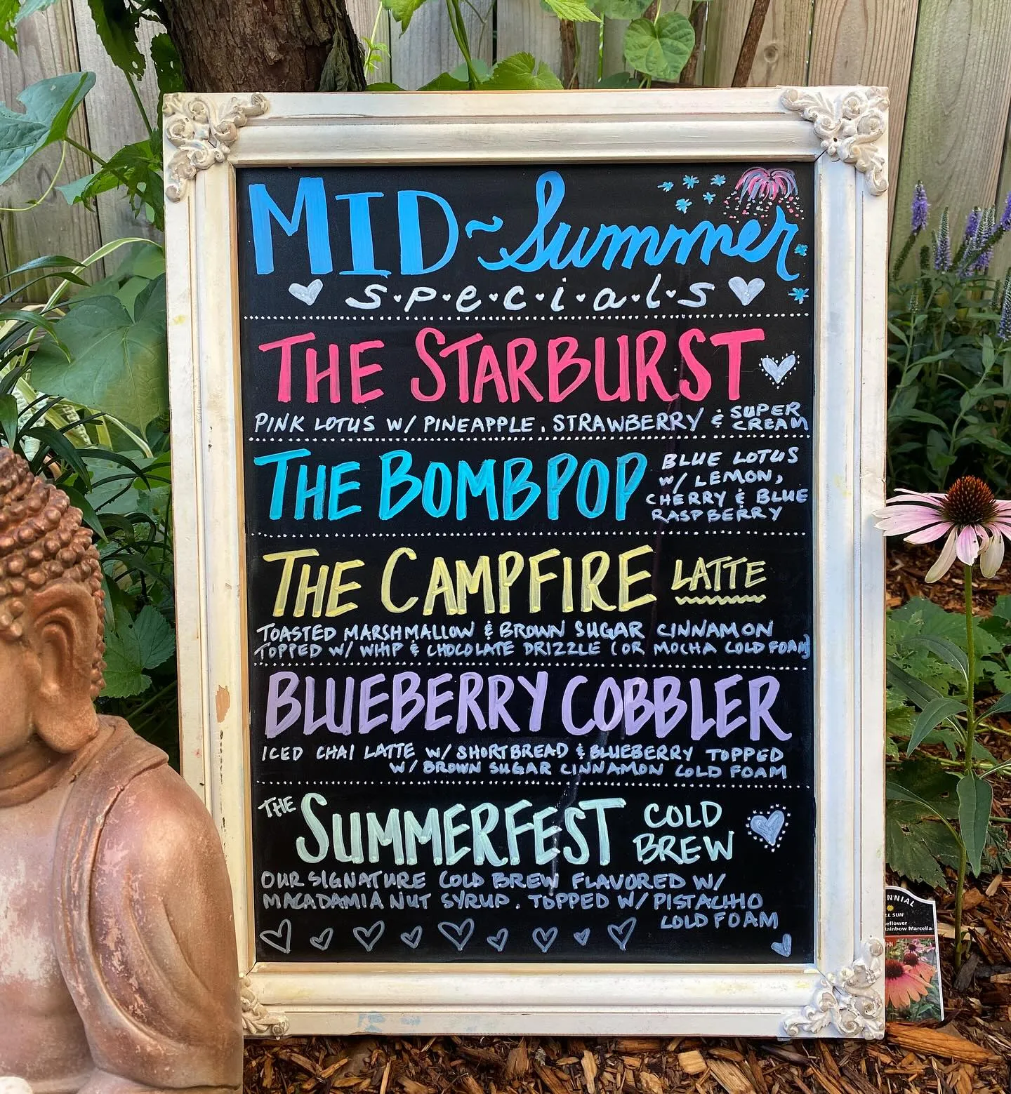 Mid-Summer Specials